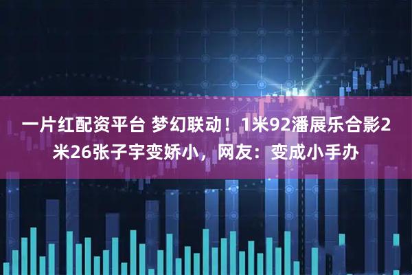 一片红配资平台 梦幻联动！1米92潘展乐合影2米26张子宇变娇小，网友：变成小手办
