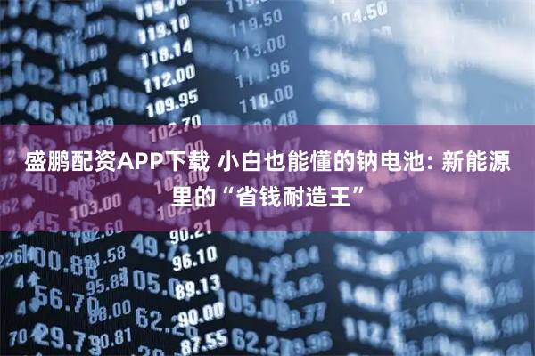 盛鹏配资APP下载 小白也能懂的钠电池: 新能源里的“省钱耐造王”