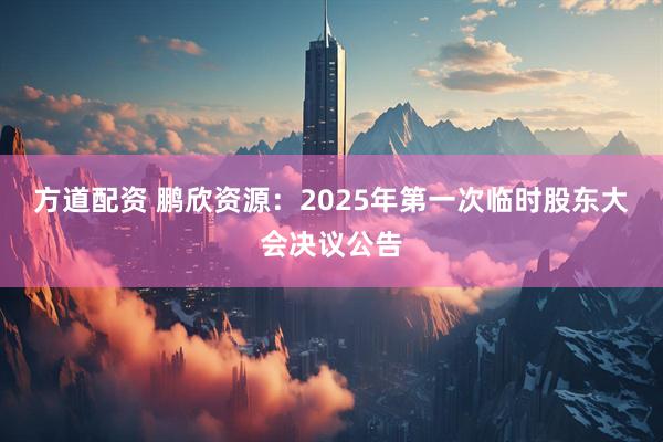 方道配资 鹏欣资源：2025年第一次临时股东大会决议公告