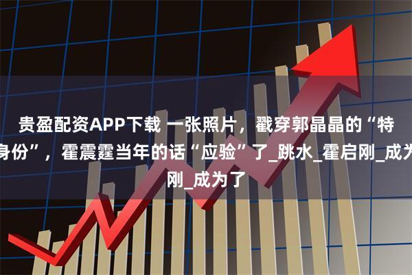 贵盈配资APP下载 一张照片,戳穿郭晶晶的“特殊身份”,霍震霆当年的话“应验”了_跳水_霍启刚_成为了